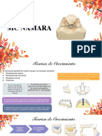 MC Namara PDF