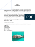Kajian Morfologi Ikan Kerapu Kayu