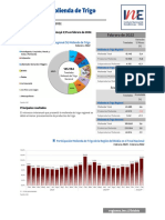 Informe Molienda