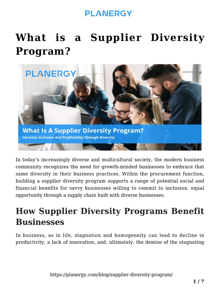 Supplier Diversity Program PDF Supply Chain Procurement