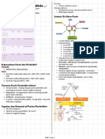 Purin Pirimidin