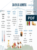 Semana 1 - Bioquímica en Los Alimentos - Organizador Visual - El Agua en Los Alimentos