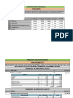 Presupuesto Analitiico