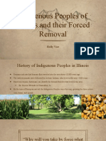 Illinois History Project