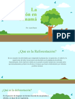 La Reforestacion en Panamá