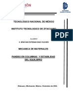 Pandeo en Columnas y Estabilidad Del Equilibrio Diaz Vilches Brayan Esteban