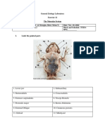 Exercise 12 Answer Sheet Abellanaornopia