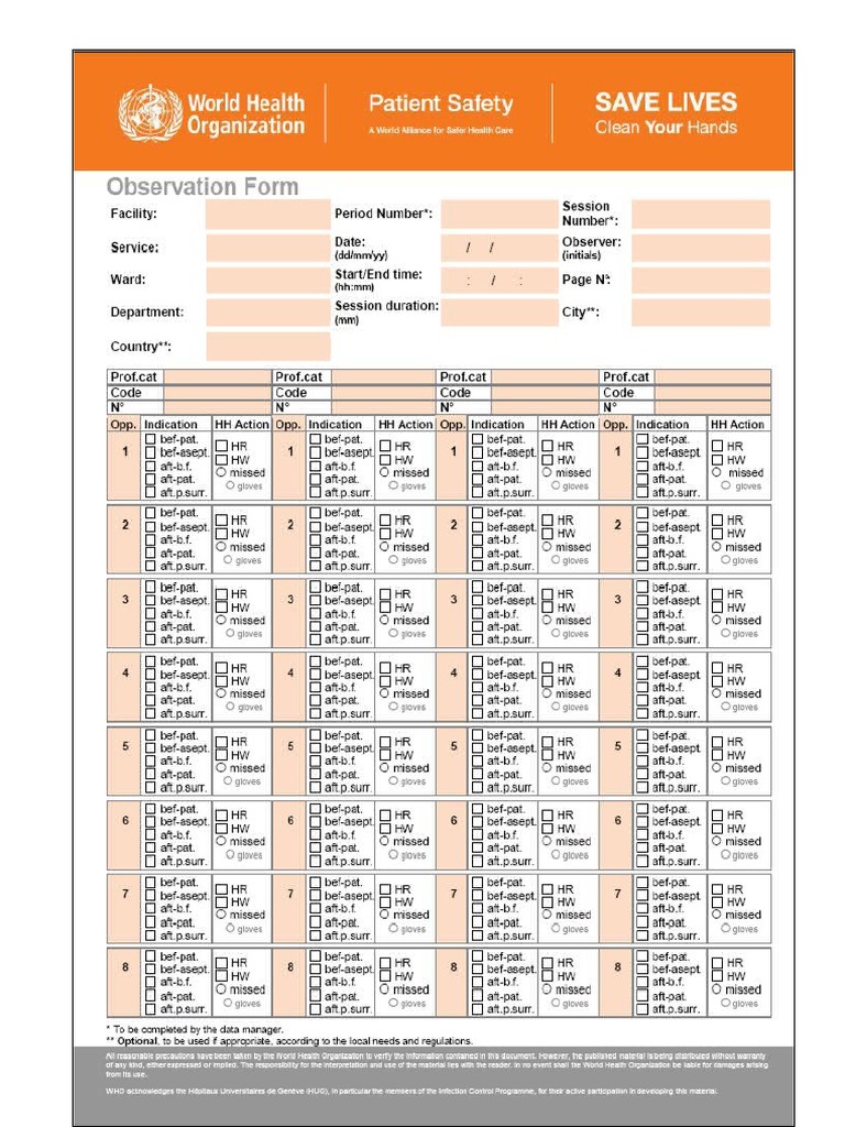 11.b Form Audit HH WHO | PDF