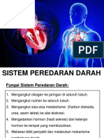 Sistem Peredaran Darah