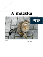 A Macska