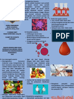 Leaflet Anemia