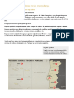 Mudanças nas áreas rurais e sistemas agrários portugueses