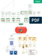 Cerebro Humano