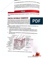Barron 2022 PDF 4_organized