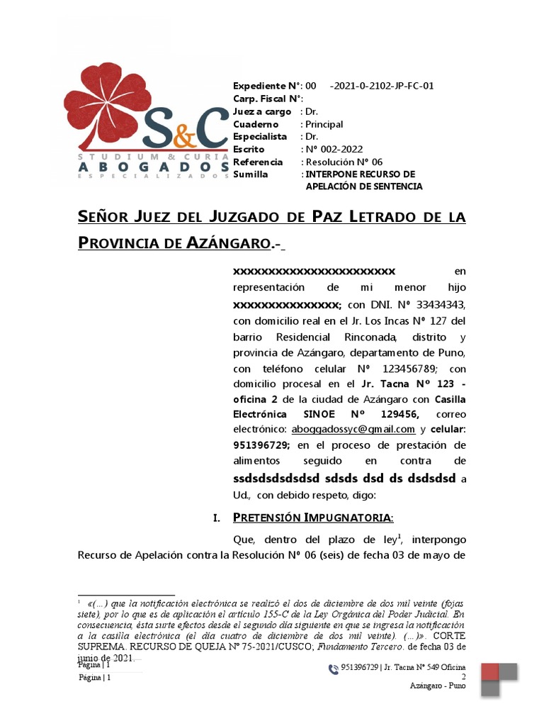 Apelación de Sentencia de Alimentos - Modelo | PDF | Pensión