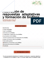 Activación y Respuestas Adaptativas y Formación de Los Biofilms Seminario Microbiología.