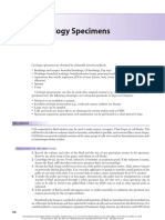 Chapter 17 Cytology Specimens