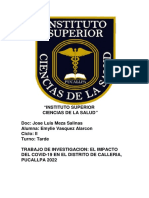 Trabajo de Investigacion El Impacto Del Covid-19 en El Distrito de Calleria Pucallpa