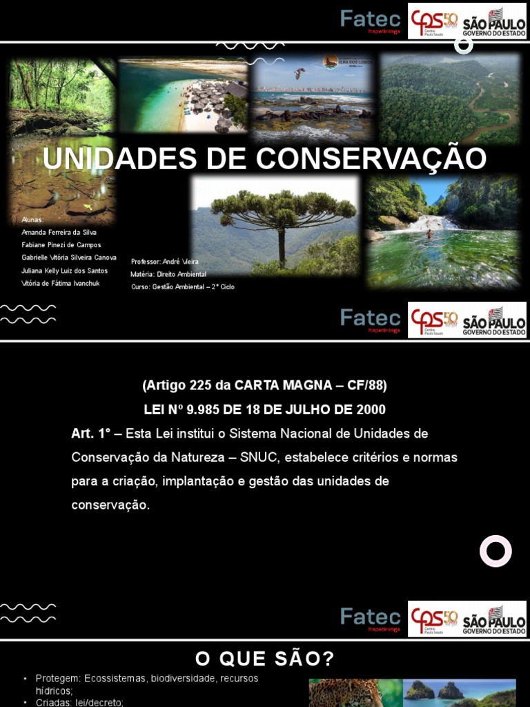 Unidades de conservação: entenda as principais categorias | PDF ...