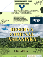 Reserva Comunal Ashaninka y Reserva Comunal Machiguenga