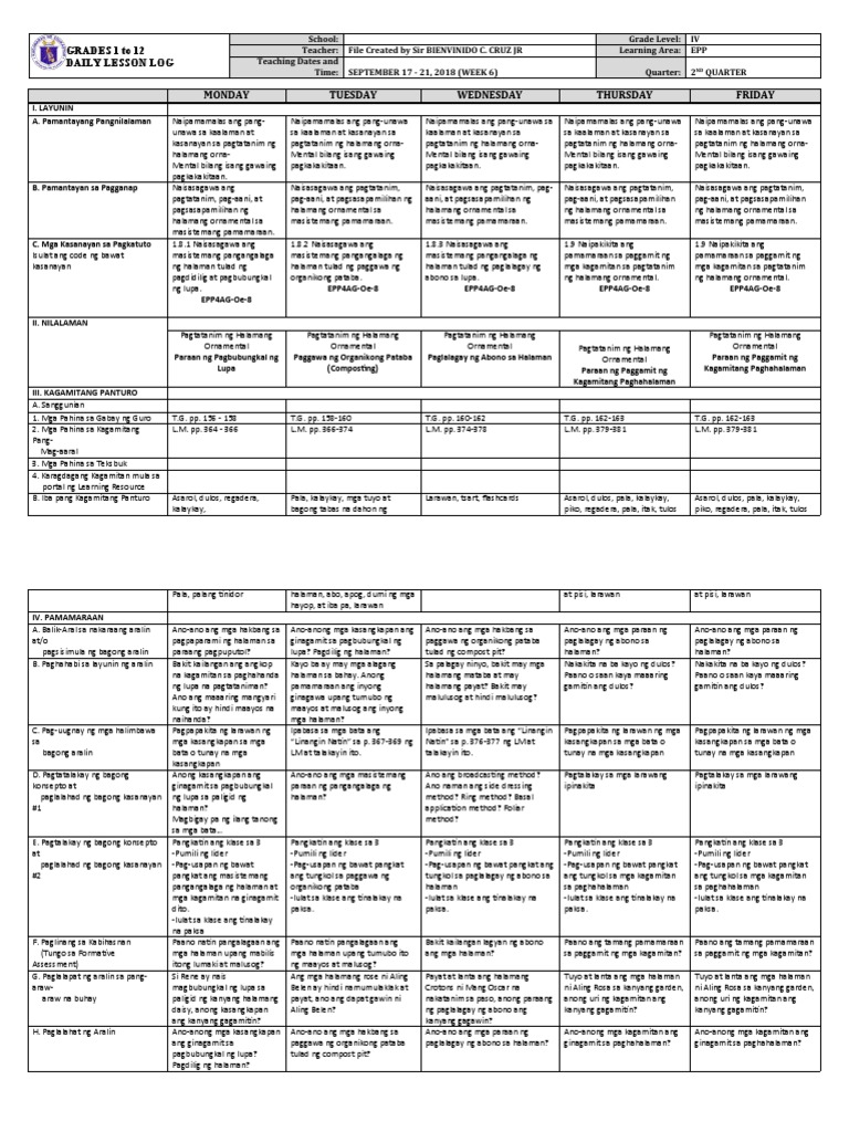 DLL Quarter 2 Week 6 EPP 4 | PDF