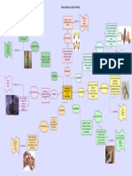 Mapa de Propiedades Mecanicas