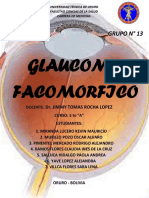 Glaucoma Facomorfico