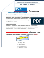 Document TEMA 5