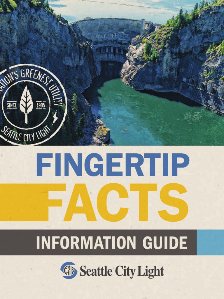 Fingertip Facts City Light Information Guide PDF PDF