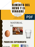 Experimento Del Huevo y El Vinagre 2
