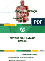 Anatomia e Fisiologia Humana II S. Circulatorio e Linfatico