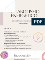 Metabolismo Energetico 30 Nov