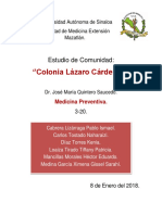 Estudio de Comunidad Colonia Lázaro Cárdenas III 20