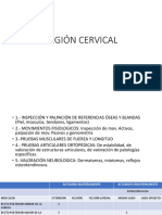 Manual Cervical