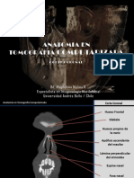 Anatomia Normal en TAC 1