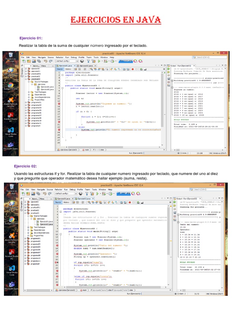 Ejercicios en Java | PDF