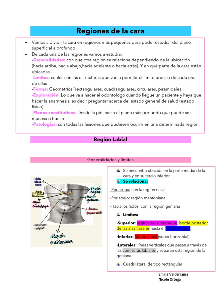 19 - Región Labial | PDF | Herpes Simple | Enfermedades y trastornos