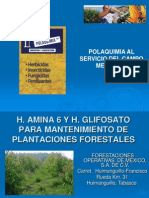 Parcela Demostrativa Plantaciones Forest Ales.
