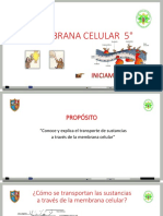 MEMBRANA - CELULAR - 5°SEC - 2022 SC