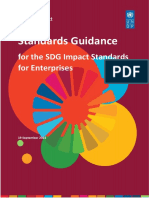 2.UNDP SDG Impact Standards Guidance For Enterprise Standards 10042022