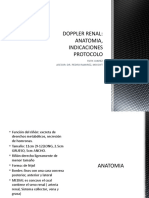 Doppler Renal Martin