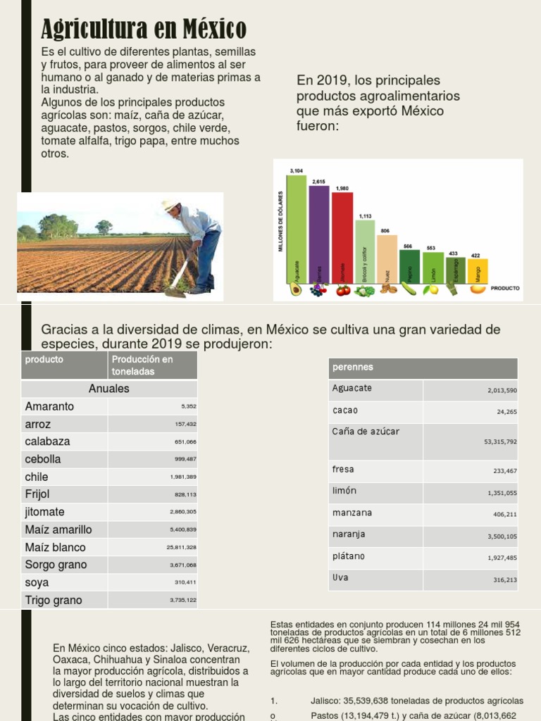 Agricultura y ganadería en México | PDF