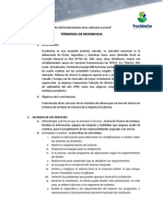 Copia de FRUCHINCHA TDR TECNICO DE SISTEMA