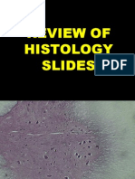 Histo,Review Slides