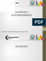 Glucólisis y Gluconeogénesis
