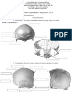 SISTEMA ESQUELÉTICO - Esqueleto Axial 1