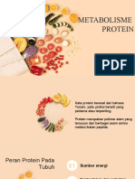 Metabolisme Protein