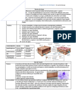 Diagnostio Microbiologico PDF