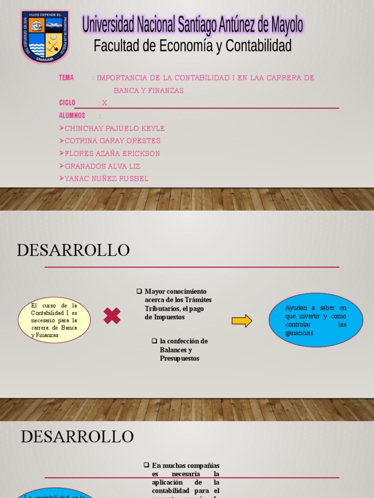 ensayo-pdf-contabilidad-economias