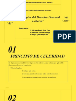 Principios Del Derecho Procesal Laboral